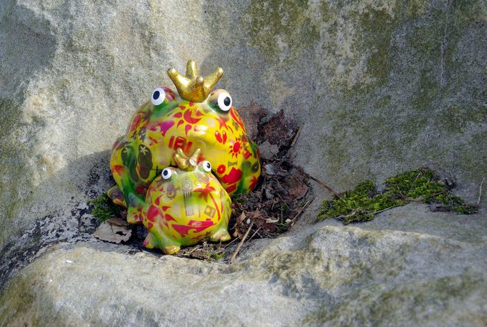 stone frogs