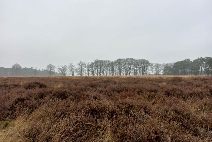Veluwe Veluwe
