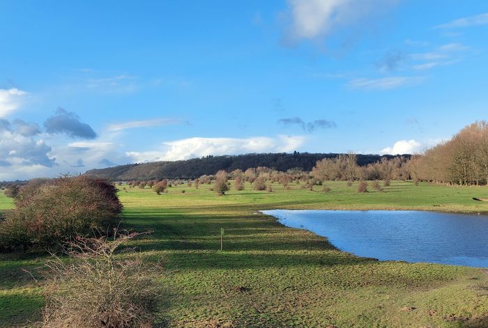 De Blauwe Kamer De Blauwe Kamer