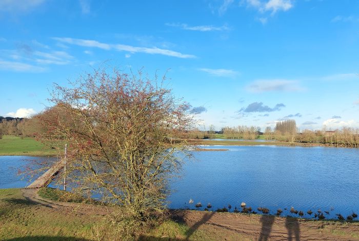 De Blauwe Kamer De Blauwe Kamer
