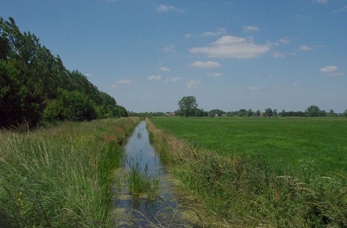 polder near Lexmond