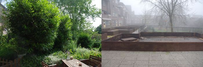 onze tuin toen en nu