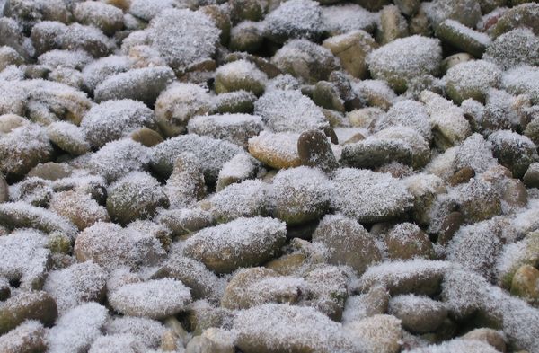 Pebbles with snow