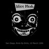 cover van Idiot Flesh 10 maart 1996 (klein)