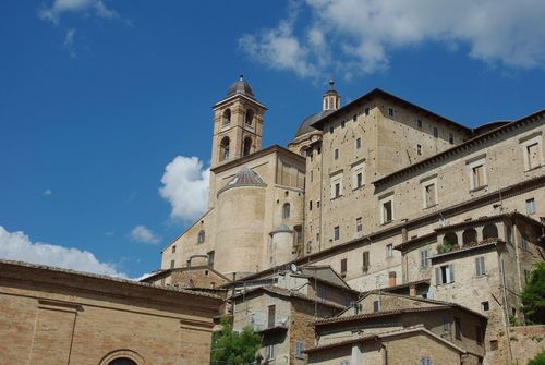 Urbino