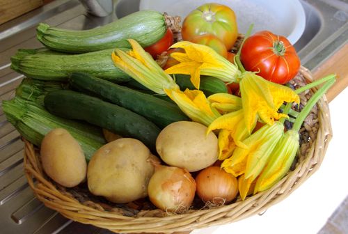 vegetable presents