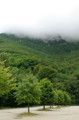 near the monastery