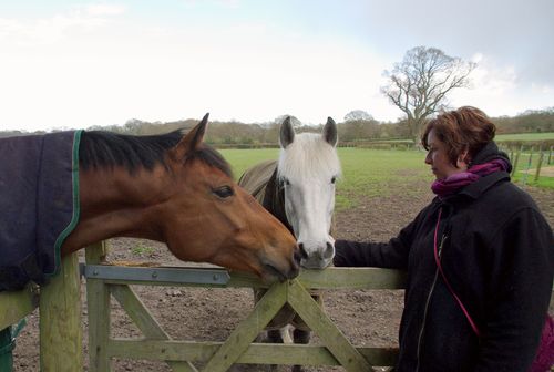 Laura en twee paarden