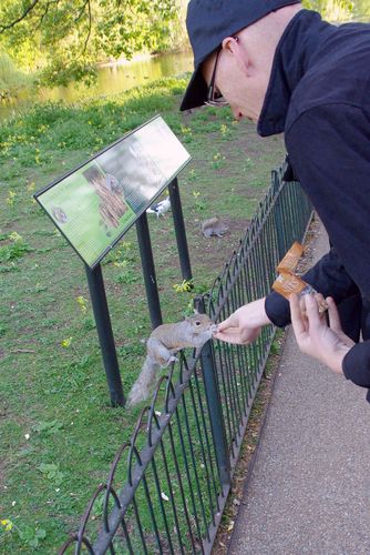 Michel voert een eekhoorn