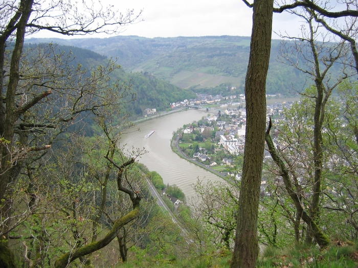 Moselle