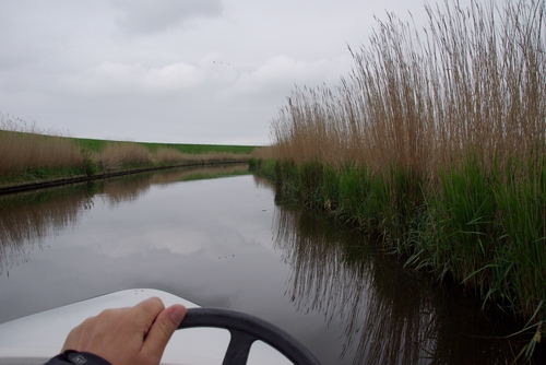 out on a boat