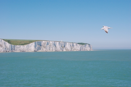 White Cliffs