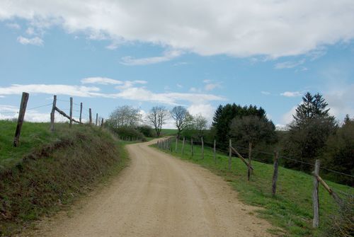 wandelpad