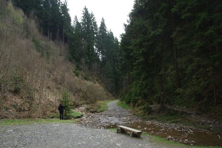rivier met bospad
